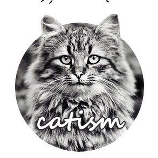 Котизм channel avatar