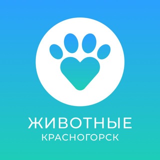 Животные Красногорск channel avatar