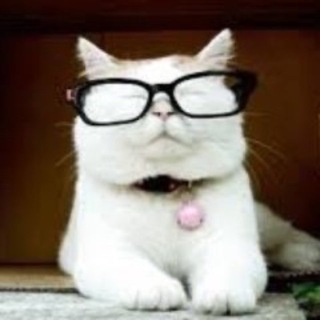 Catturd channel avatar