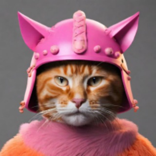 CatWifHelmet - PUMPFUN SEASON channel avatar
