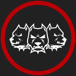 Аватар канала CERBERUS