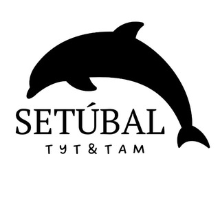 Сетубал тут & там | Setúbal channel avatar