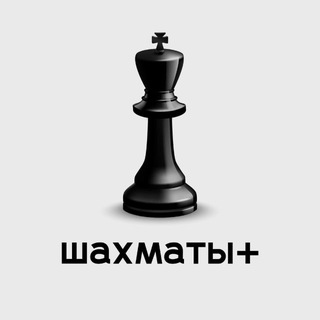 Шахматы + channel avatar