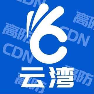 云湾Wayne|高防服务器|SCDN|SDK游戏盾|大厂云 channel avatar