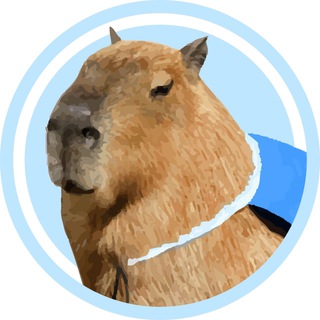 Аватар канала Capybara AI