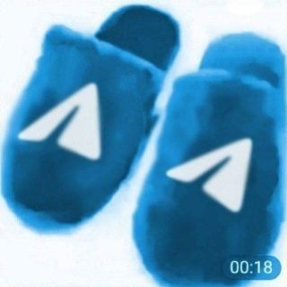 Telegram Tech & Supp Conf+Daily channel avatar