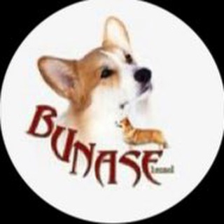 Питомник BUNASE channel avatar