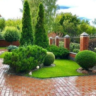 cozy_garden channel avatar