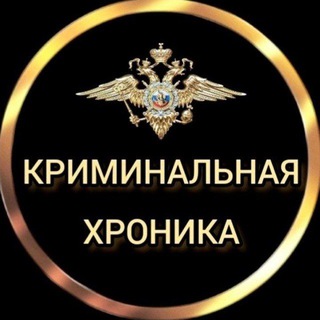 КРИМИНАЛЬНАЯ ХРОНИКА channel avatar
