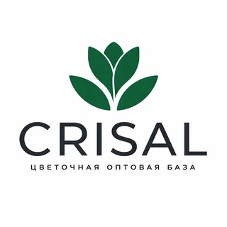 CRISAL | Цветы оптом | База | Москва channel avatar