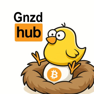 Gnezdo Hub by Bottlecruiser | ex Crypto Mokakke channel avatar