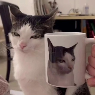 Аватар канала Curiosidades, memes y más...