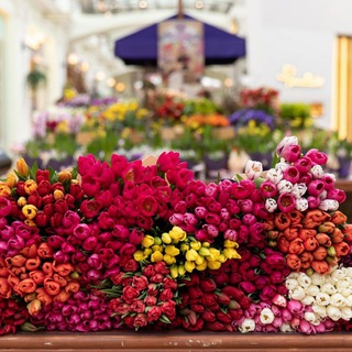 Аватар канала ЦВЕТОЧНЫЙ РЫНОК КРАСНОДАР 💐 Объявления о продаже цветов