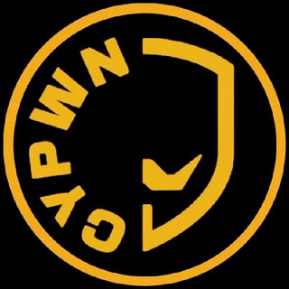 CyPwn channel avatar