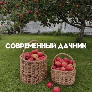 Аватар канала Современный дачник