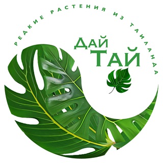 Аватар канала ДайТай
