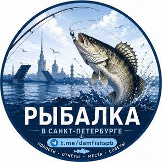 damfishspb channel avatar