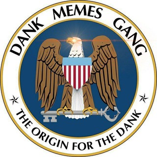 Dank Memes Gang ️️ channel avatar