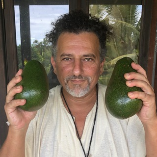 David Avocado Wolfe channel avatar