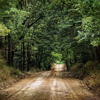Dirt Road Discussions channel avatar
