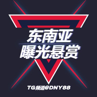 dny88 channel avatar
