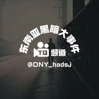 东南亚黑暗大事件 channel avatar