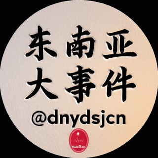 东南亚大事件 channel avatar