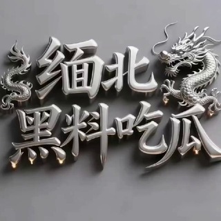 Аватар канала 缅北黑料新闻大事件