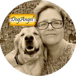 Аватар канала DogAngel