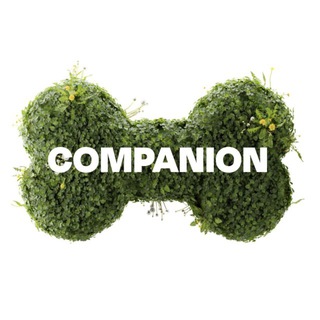 Companion | амуниция для питомцев channel avatar