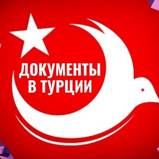🇹🇷Документы в Турции 🇹🇷 channel avatar