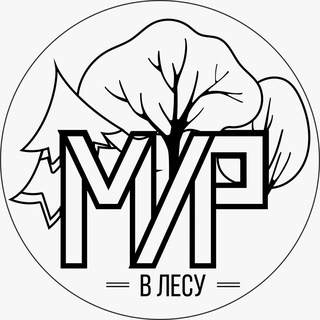 Лагерь «Мир» channel avatar