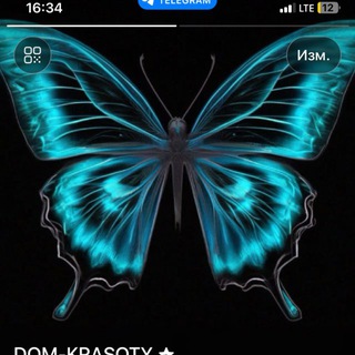 Аватар канала Модели ресницы Москва🦋