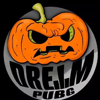 DreamPubg channel avatar