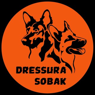 Dressura.sobak channel avatar