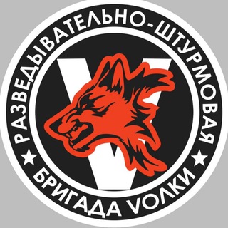 1-я ДРШБр Волки channel avatar