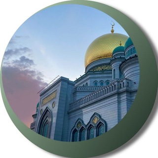 ДУМ РФ сегодня channel avatar