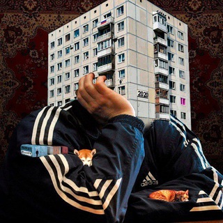 ДУМЕР. Постсоветский Вавилон | DOOMER channel avatar