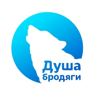 Приют «Душа Бродяги» channel avatar