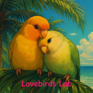 Аватар канала Lovebirds Lab Попугаи