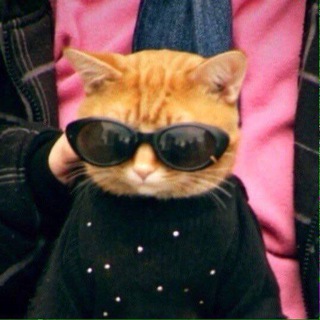 eat.sleep.wear. channel avatar