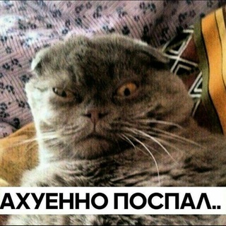 Укуренные козлы channel avatar