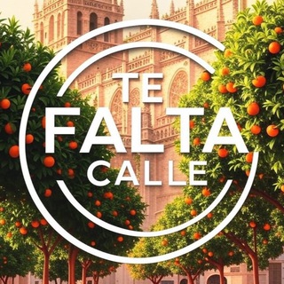 TE FALTA CALLE channel avatar