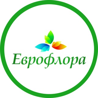 Аватар канала Еврофлора Краснодар
