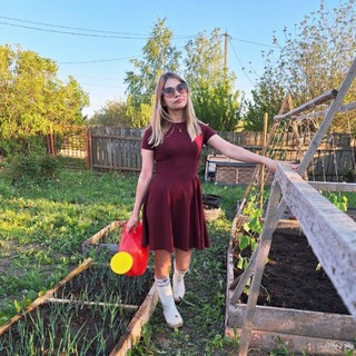 Аватар канала Диана в домике