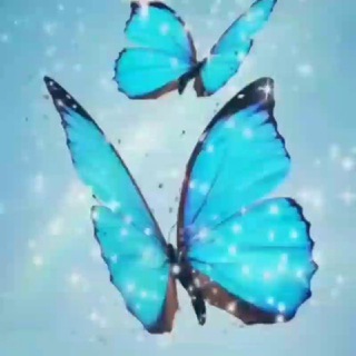 Гадалка Приворот Ясновидящая channel avatar