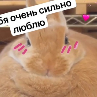 Аватар канала жирные кроли смотреть