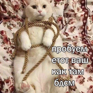 Аватар канала Верхние Мемасы