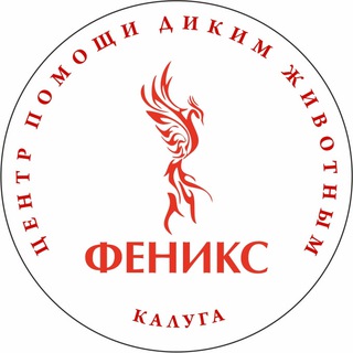 Аватар канала Феникс дикие животные