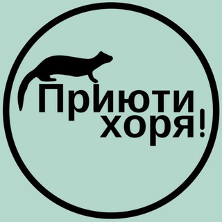 Аватар канала Хорьки | Приюти Хоря!